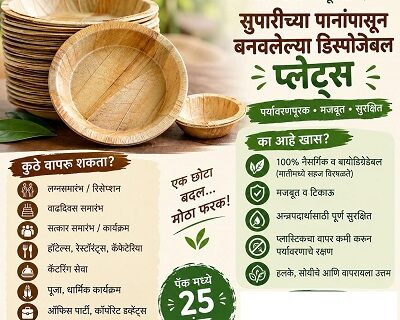 eco-disposable-plates